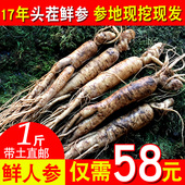 包邮 人参长白山泡酒人参新鲜人参带土东北人参500克 天天特价