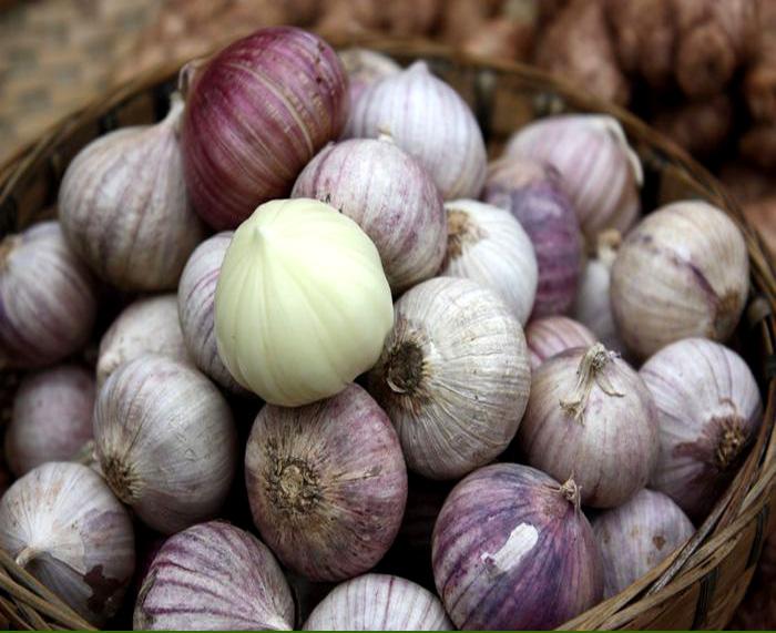 正品[蒜头老银]三多九如老银收藏网评测 2015老