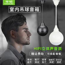 吊球店铺音响壁挂式吊吸顶天花餐厅喇叭网吧室内背景音乐音箱套装