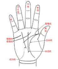 看手相面相测八字看问查事测事姻缘事业财运专用