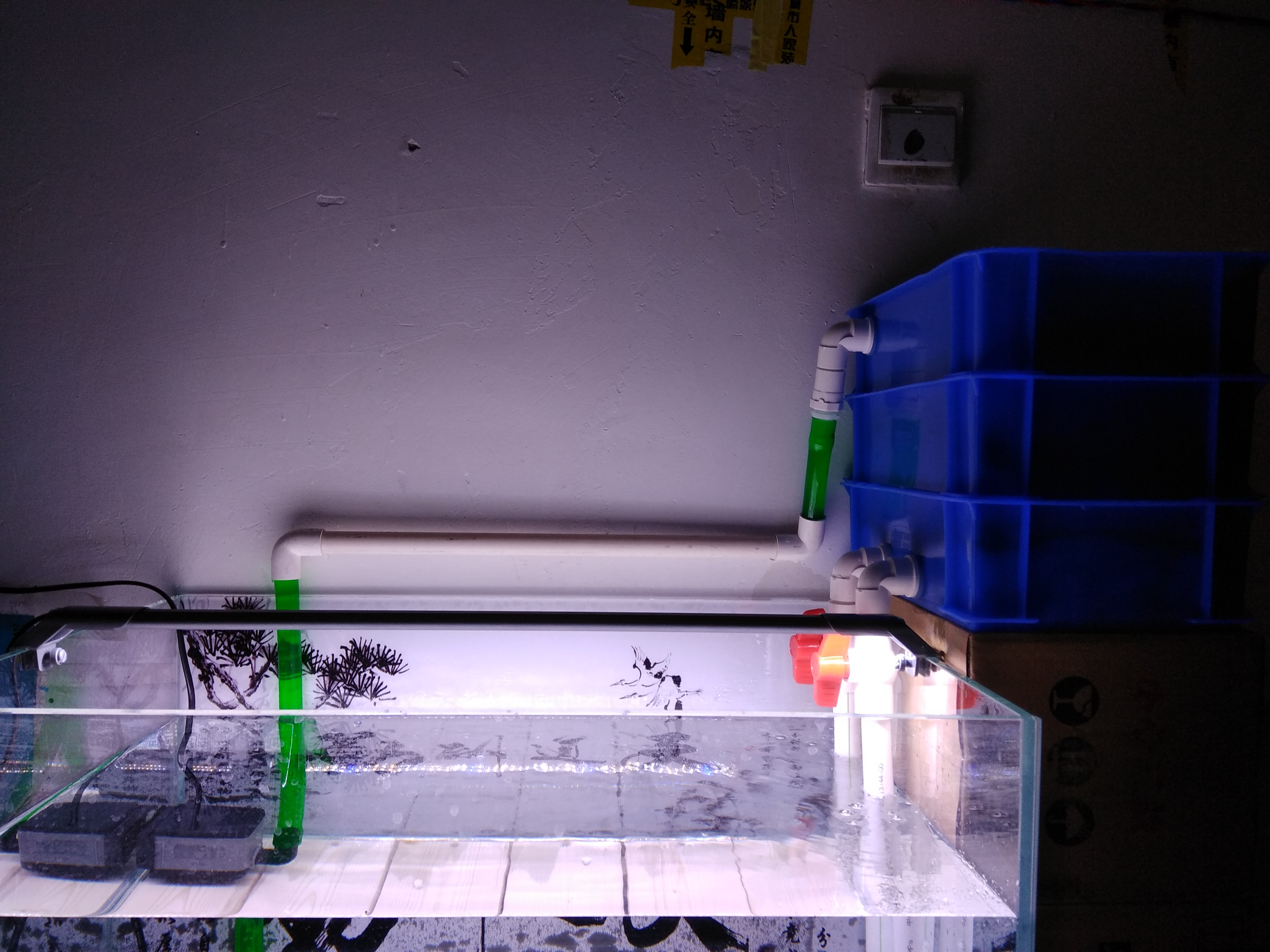 包邮3号周转箱过滤盒鱼缸过滤箱上滤滴滤水族