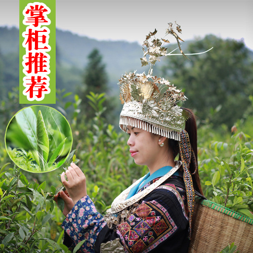 2016新茶 都匀毛尖 明前春茶 贵州锌硒贡茶 有机绿茶叶 雀舌50克