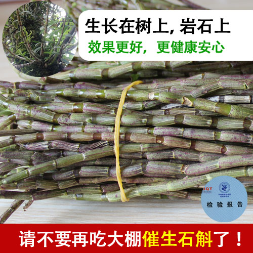 铁皮石斛鲜条 云南农家高山野生种植新鲜铁皮石斛枫斗500克包邮