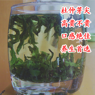 开化杜仲茶 杜仲嫩芽炒制而成 出口日本的野生级别杜仲茶