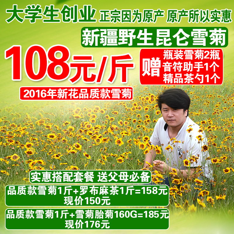 【2016新花】新疆野生雪菊特级昆仑雪菊菊花茶冰山天山雪菊非胎菊