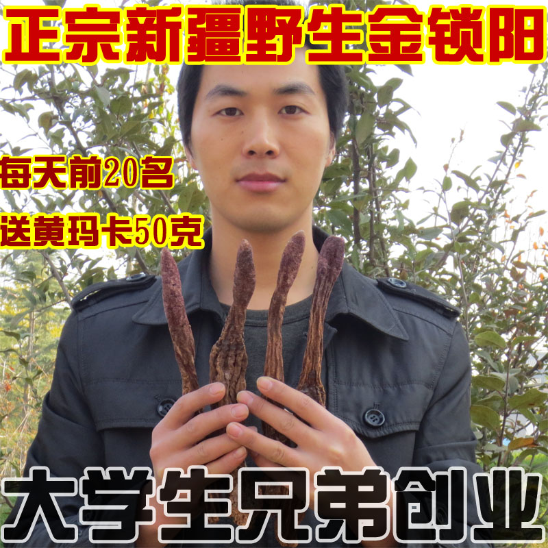 大学生创业 新疆锁阳 野生金锁阳泡酒料可切片泡茶泡酒500g包邮