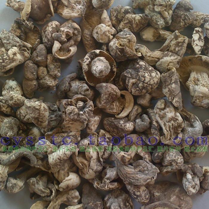 张家口口蘑 纯野生蘑菇 优质野生口蘑 张北坝上草原特产 菌菇散货