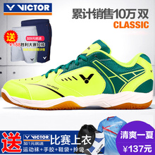 运动鞋 男款 501训练鞋 胜利羽毛球鞋 维克多女鞋 男鞋 送礼VICTOR正品