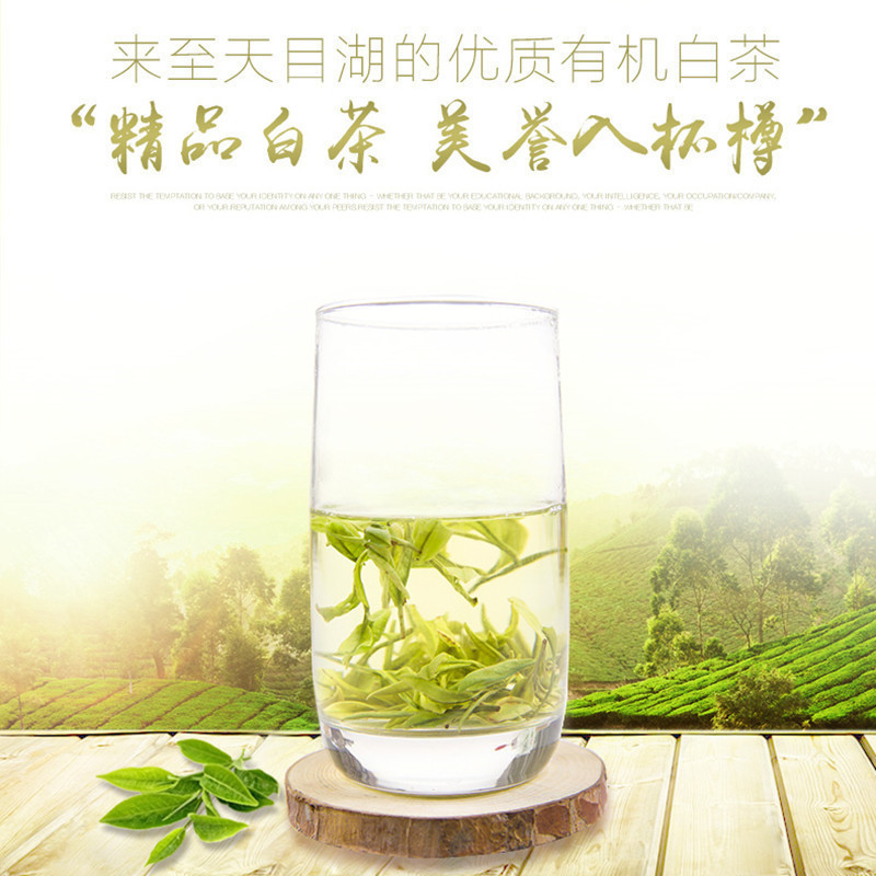 2016新茶 溧阳茶叶 天目湖土特产明前白茶 规格50g  江浙沪包邮