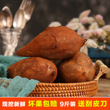 云南特产天山雪莲果9斤