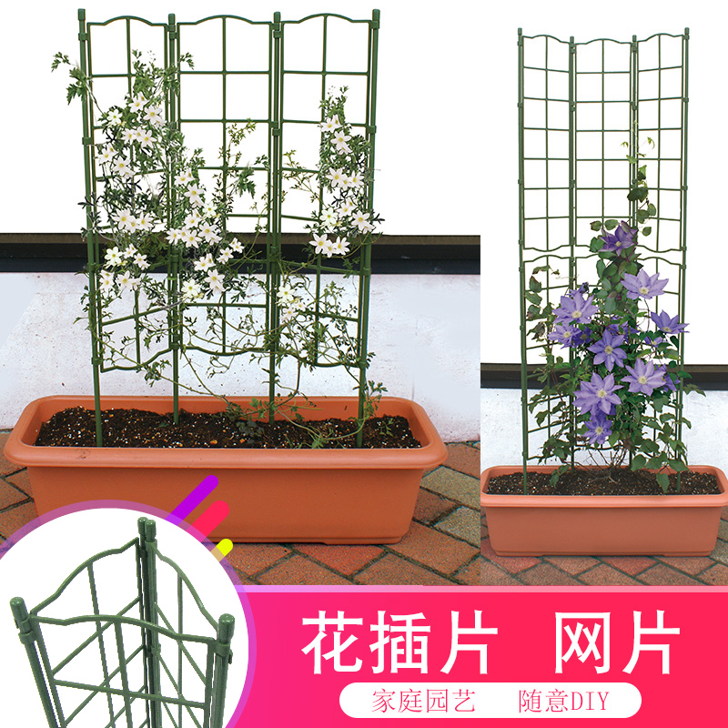 新品园艺爬藤架子庭院玫瑰月季铁艺花架 欧式露台花卉