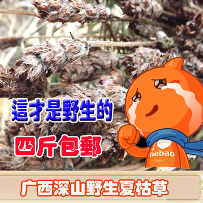 广西深山野生中药材 夏枯球夏枯草白花草 棒槌草 500克 4斤包邮