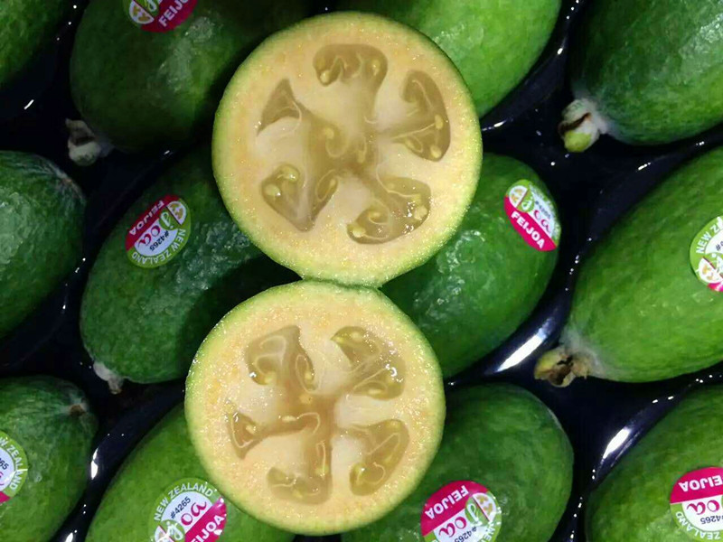 新西兰斐济果进口新鲜水果feijoa斐济果一箱28-30个装包顺丰空运_双氙