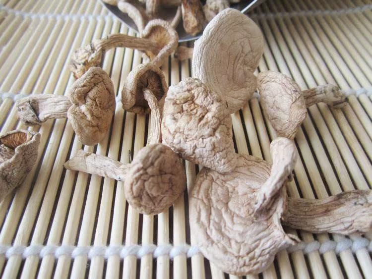 内蒙古草原特产小白蘑菇干野生干货200g包邮