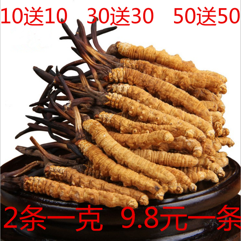 冬虫夏草正品 青海玉树野生虫草2根1克 西藏那曲虫草无断草按条卖