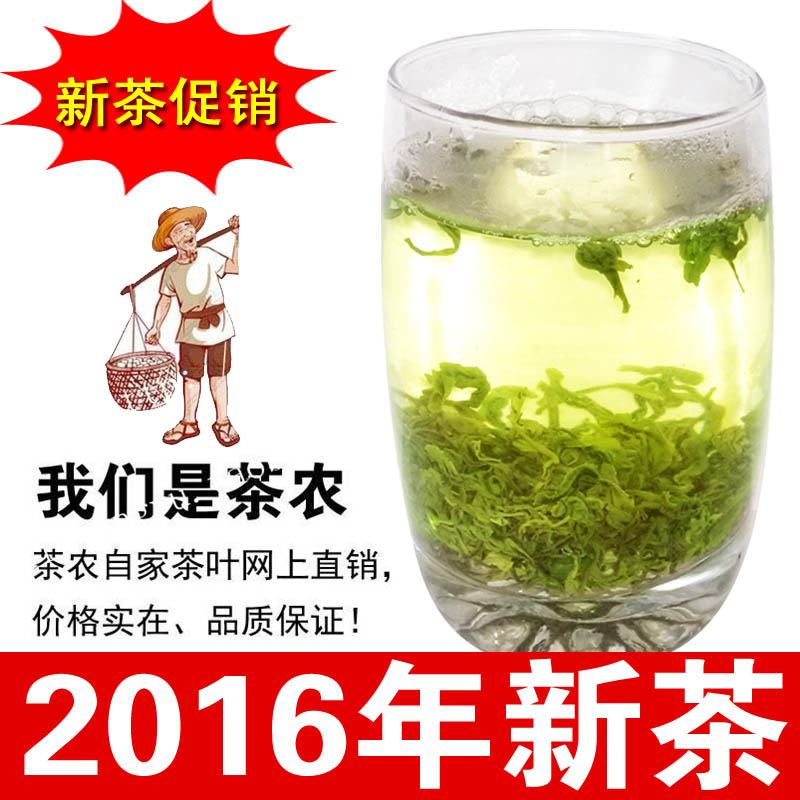 【天天特价】绿茶 日照绿茶 2016年新茶春茶茶叶25元包邮