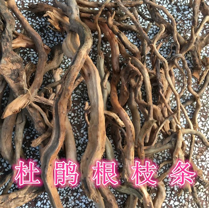 大中迷你杜鹃根单根枝条弯曲南美鱼缸造景半沉木新品可看图挑选