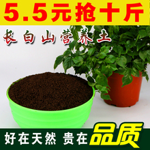 包邮 多肉土肥料种植腐殖种菜黑土养花泥炭绿萝土壤 花土营养土大包