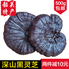 包邮 正宗深山天然带柄黑林芝可切片500g 韶关特产半野生灵芝整枝