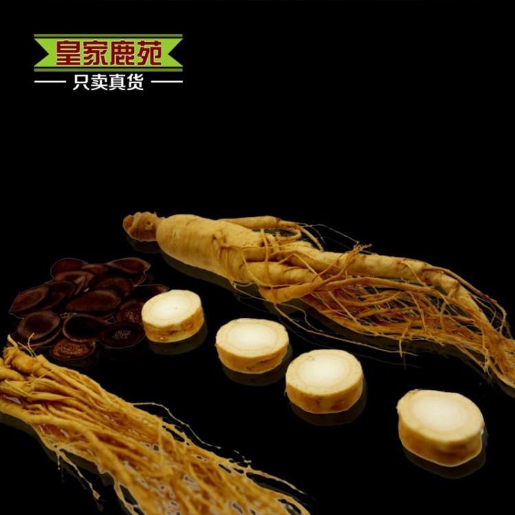 御前封鲜人参 保鲜参原皮参白参生晒参红参单支60克买3支发4支