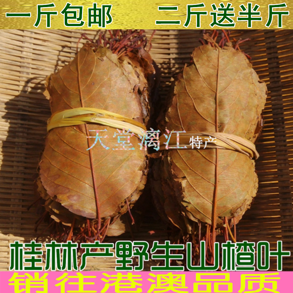 新货桂林野生山楂茶叶山楂叶茶500克包邮养生茶量大批 发