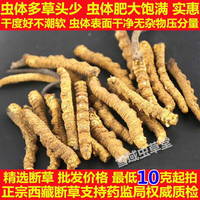 新鲜虫草 正宗西藏冬虫夏草断草 野生那曲虫草元/g 10克起售包邮