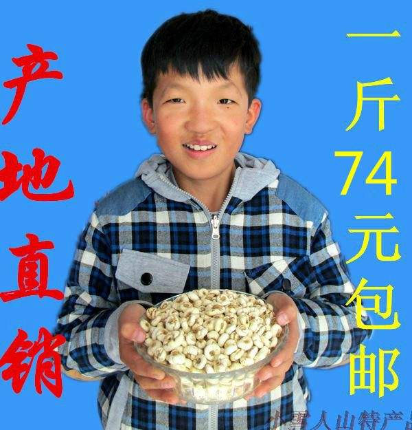 正品长白山贝母 川贝母 特级平贝母非浙贝藏贝母 一件250克