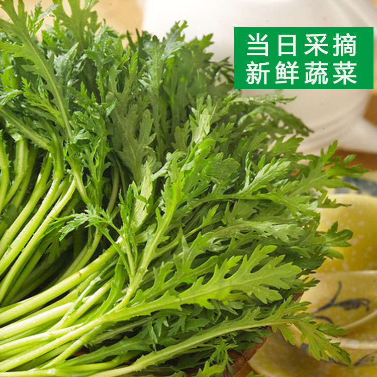 当日采摘500克 新鲜蔬菜 茼蒿菜 皇帝菜 鲜嫩爽口 火锅菊花菜