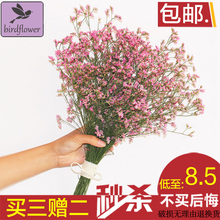 干花批发 真花家居装 勿忘我干花 饰毕业干花 满天星花束 干花花束