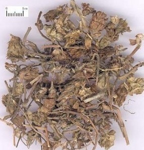 大鹏中草药 中药材 白毛夏枯草500克