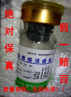 兽药绝对保真新疆天康羊小反刍兽疫活疫苗预防