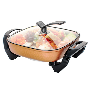 九阳多功能电热锅