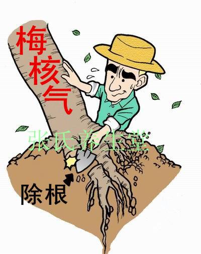 梅核气咽喉嗓子喉咙异物感咳不出咽不下 半夏厚朴汤逍遥散不理想