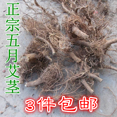 广东客家汤料野生五月艾茎头艾草根老艾根暖胃祛湿安胎包邮