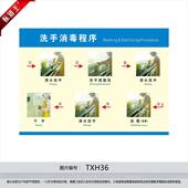 食品厂洗手消毒程序宣传画墙贴纸TXH36 工厂车间工作流程挂图海报