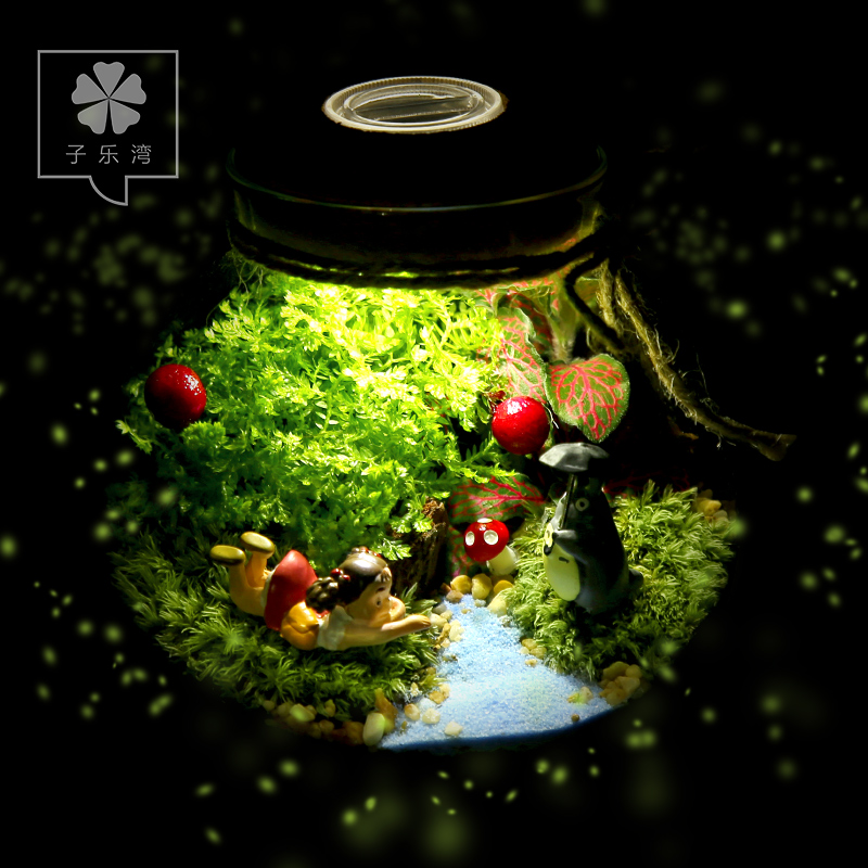 苔藓植物微景观创意生态瓶