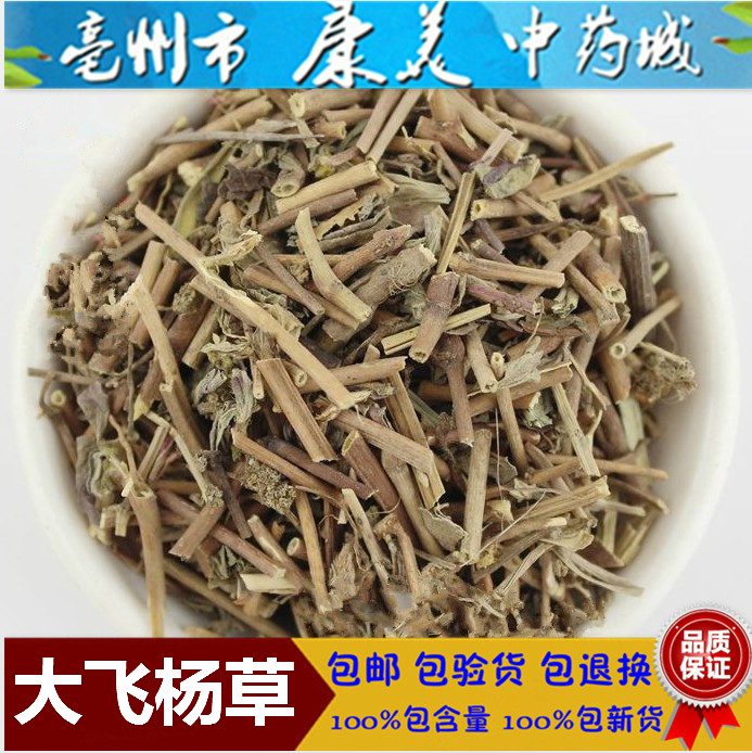 中药材优质 大飞扬草 500克 飞扬草 大乳汁草 奶子 飞杨草正品
