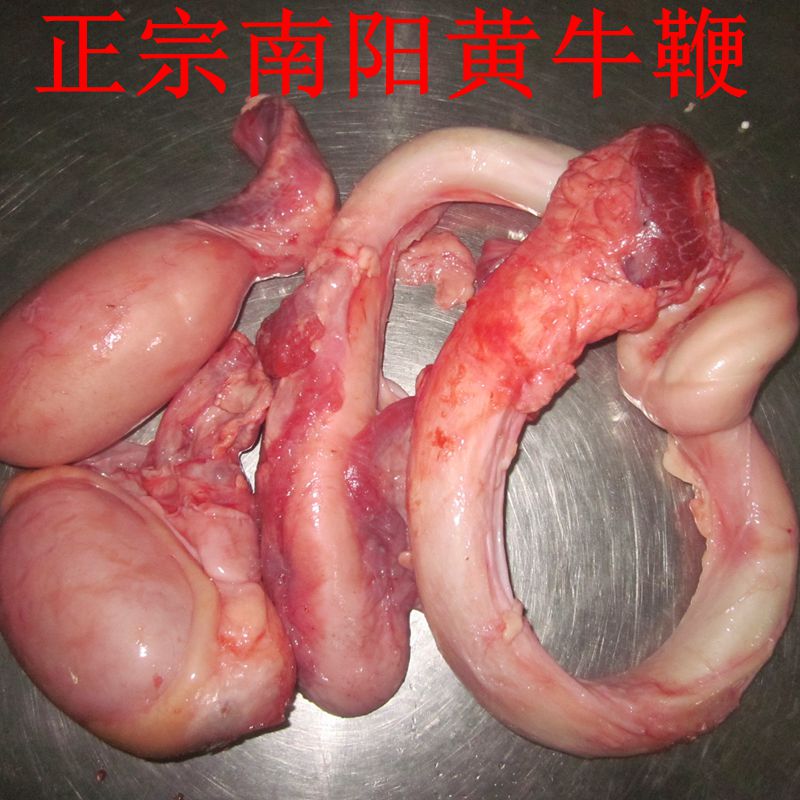 包邮 南阳黄牛鞭 新鲜牛鞭牛宝生牛鞭牛蛋泡酒牛鞭带睾丸