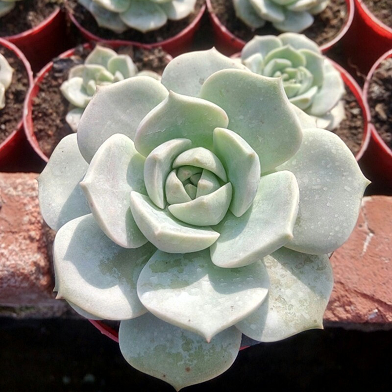 正品[水木社区 二手房]水木社区二手房交流评测