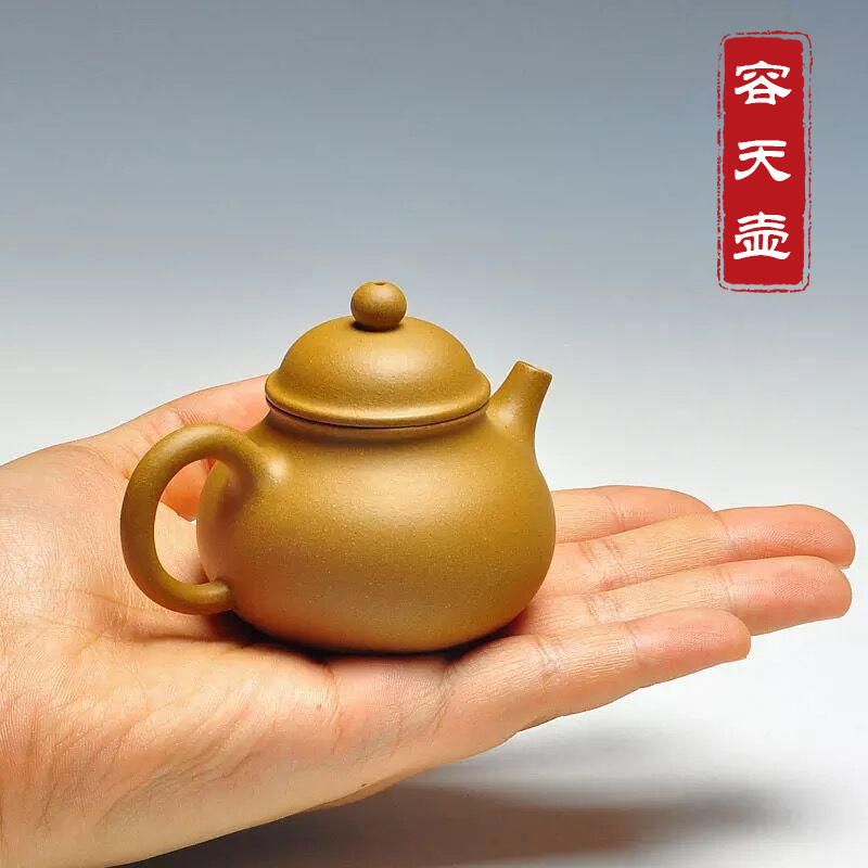 壶光砂色 宜兴名家紫砂壶全纯全手工小茶壶茶具段泥小容天壶套装