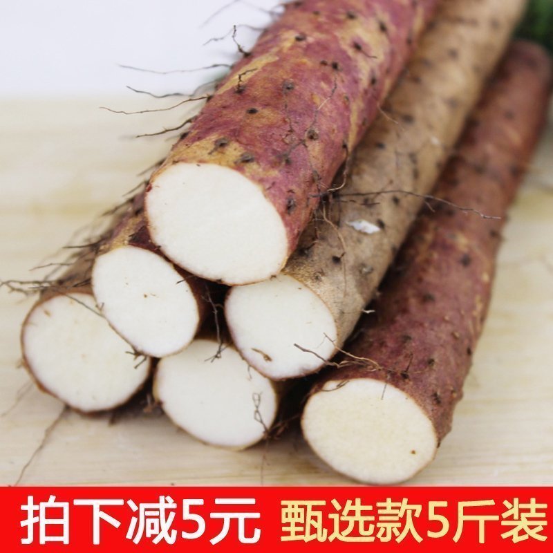 怀康温县铁棍山药新鲜 正宗精品河南焦作怀淮山药限区5斤包邮