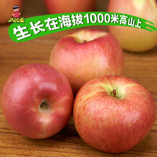 太阳果 灵宝高山野生红富士丑苹果送1斤共5斤
