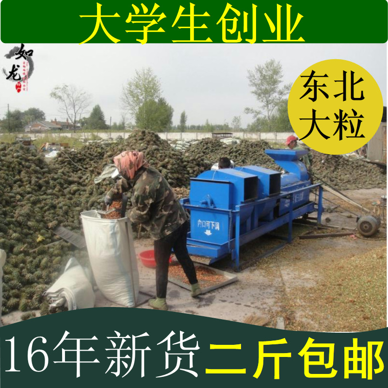 2016东北野生 生松子原味 未加工红松子生的不开口仁250g松鼠口粮