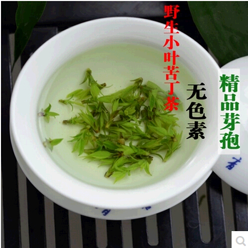 苦丁茶 2016新茶特级青山绿水小叶苦丁茶全芽孢 峨眉特产250g包邮