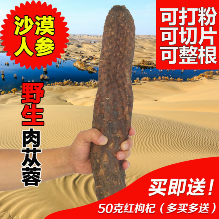 【天天特价】新疆野生肉苁蓉切片泡茶泡酒料500g包邮 配锁阳更佳