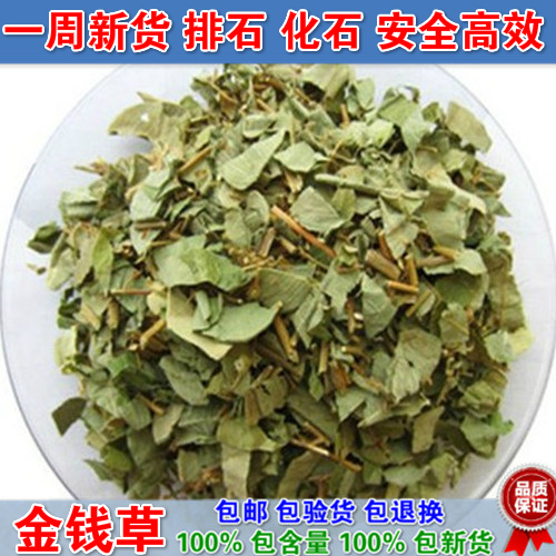 金钱草排石茶 肾 结 石 金钱草 中药材 结石 溶石排石 500 大叶