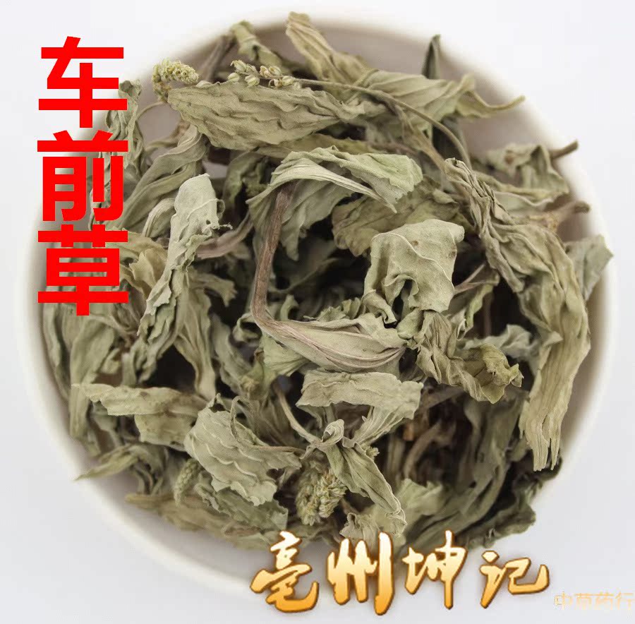 车前草 中药材 车轱辘草 猪耳朵草 猪耳朵菜 50克 抓药冷背药材