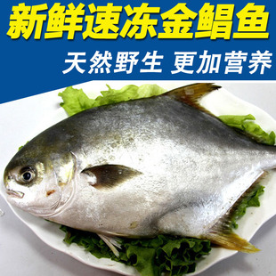 ʻ䶳Ұ