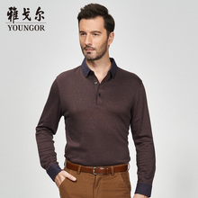 Youngor/雅戈尔秋冬新品男士商务休闲条纹长袖T恤4566图片