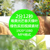 房地产园林唯美阳光镜头环保春天夏天绿色叶高清视频素材 舞墨堂